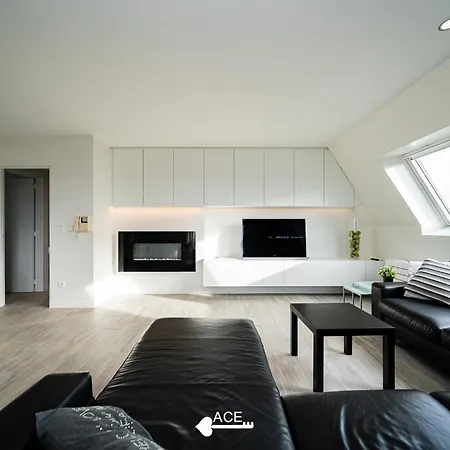 Ace - Loue - - Dichtbij En * Nieuwpoort