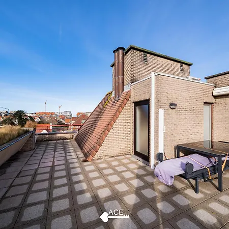 Ace - Loue - - Dichtbij En