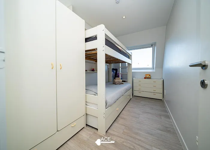 Ace - Loue - - Dichtbij En * Nieuwpoort